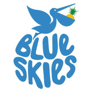 Blue Skies Company Limited